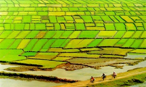 Chính phủ thống nhất nhiều nội dung về giao, cho thuê đất