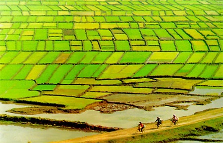 Trong thời gian kéo dài đến khi Luật Đất đai (sửa đổi) có hiệu lực, người sử dụng đất có đầy đủ các quyền và nghĩa vụ theo pháp luật quy định.