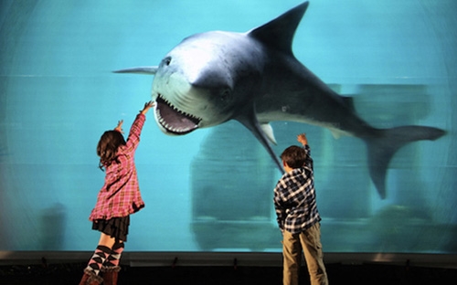 Màn hình 3D không cần kính lớn nhất thế giới có kích thước lên đến 200 inch, cho 
phép trình diễn hình ảnh ba chiều Full HD ở 57 góc độ khác nhau. Đây là sản phẩm 
của Viện công nghệ thông tin và truyền thông của Nhật (NiCT).