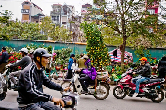 Việt Nam đứng ở vị trí thứ 7 trong danh sách, cao hơn cả Trung Quốc - Ảnh: CNBC.