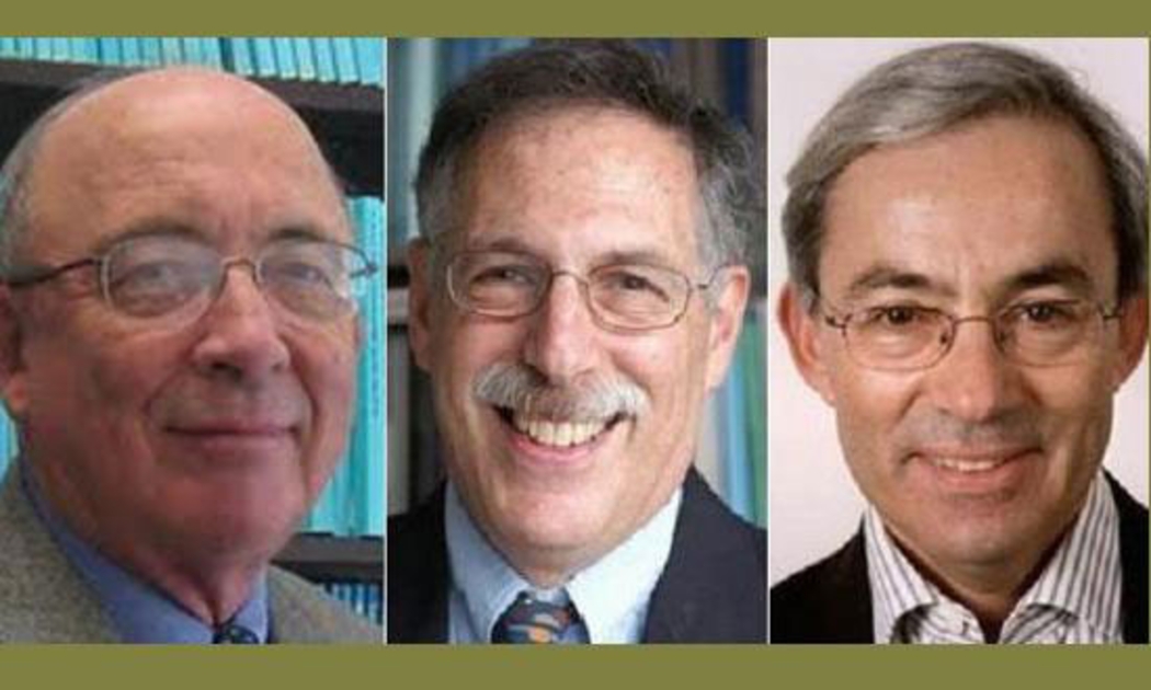 Từ trái qua: Dale T. Mortensen, Peter A. Diamond và Christopher A. Pissarides.