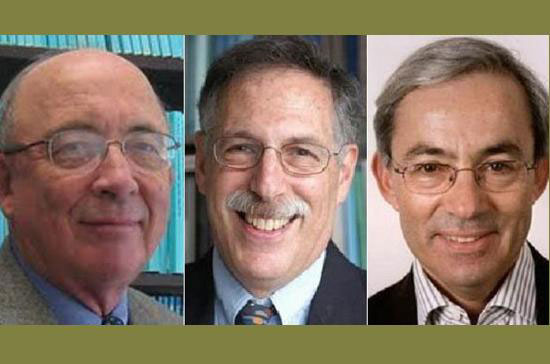 Từ trái qua: Dale T. Mortensen, Peter A. Diamond và Christopher A. Pissarides.