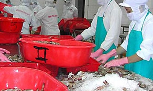 Xuất khẩu thủy sản sang Nhật: Hai nhóm giải pháp gỡ khó