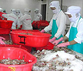 Các doanh nghiệp tăng cường giám sát quá trình sản xuất và chế biến.