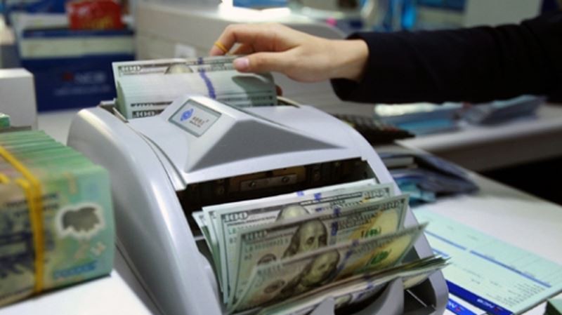 Đối với các khoản nợ nước ngoài, Chính phủ Việt Nam đã trả nợ đầy đủ cho các chủ nợ nước ngoài, không có nợ quá hạn.