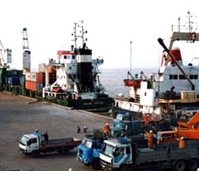 Gian lận thương mại qua mã số và xuất xứ hàng hóa thường xảy ra đối với những mặt hàng có sự chênh lệch về thuế là hàng điện tử, điện lạnh, sắt thép, thực phẩm, hàng tiêu dùng...