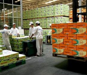 Theo số liệu từ HSSC, năm 2003, Vinamilk được đánh giá ở mức 100 triệu USD; một năm sau thực hiện cổ phần hóa, theo đánh giá của thị trường là 150 triệu USD và đến năm nay, phần vốn và lãi của Nhà nước đã tăng vọt lên 970 triệu USD (gần 16.000 tỷ đồng).