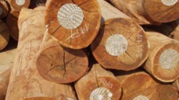 Tham gia hội chợ tại Myanmar có thể được hỗ trợ 100% kinh phí