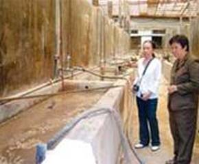 Nước mắm được chứa trong những bể xi măng không có nắp đập - Ảnh: SGGP.