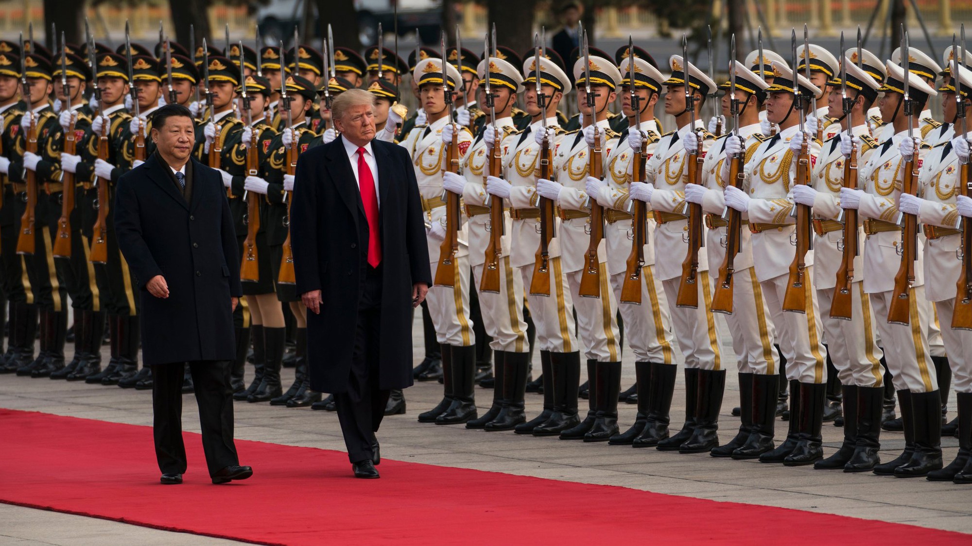 undefined - Ảnh 15.