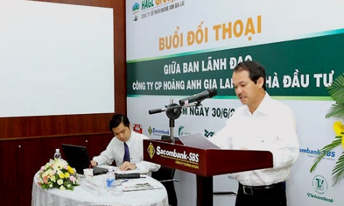 Fitch Ratings hạ triển vọng tín nhiệm Hoàng Anh Gia Lai