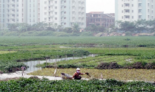 Có hiện tượng “bán chạy” đất nông nghiệp