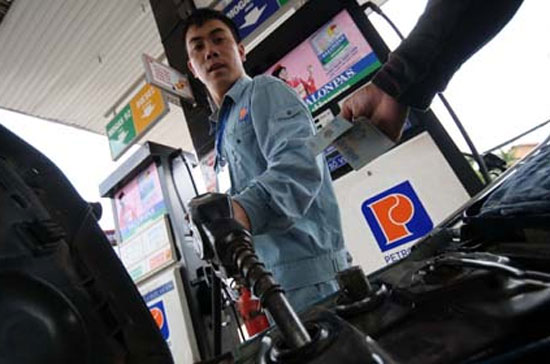 Thanh tra Chính phủ kiến nghị tạm dừng việc thành lập tập đoàn kinh tế nhà nước theo phương thức quyết định hành chính như vừa qua.