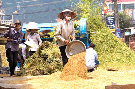 Giai đoạn 2006-2011, tổng vốn đầu tư công cho nông nghiệp, nông dân, nông thôn từ nguồn ngân sách nhà nước và trái phiếu Chính phủ là 432.787 tỷ đồng.