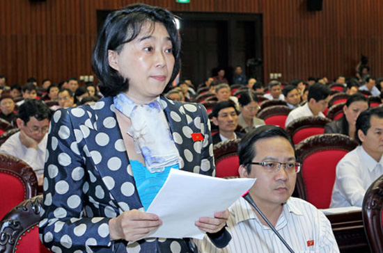 Những thông tin về tính trung thực trong kê khai bầu cử của đại biểu Quốc hội Đặng Thị Hoàng Yến đã khá rõ ràng.