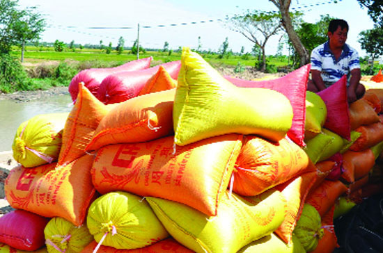 Ngân sách nhà nước sẽ hỗ trợ 100% lãi suất tiền vay trong thời gian thu mua, tạm trữ theo chương trình này.