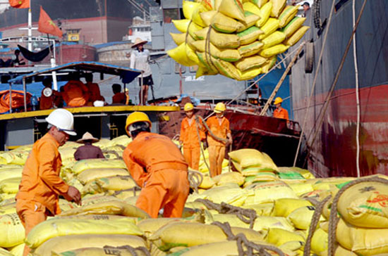 Nhiều doanh nghiệp Việt Nam đã đưa gạo xuống tàu, song phía Trung Quốc kiểm tra lại và nói là không đảm bảo chất lượng, dù phía Việt Nam đã kiểm tra đủ hết điều kiện - Ảnh minh họa.