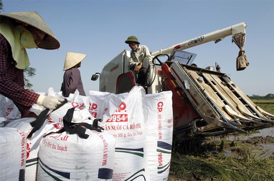 Từ hàng chục năm nay mới có tình trạng thu nội địa của ngân sách nhà nước giảm so với cùng kỳ năm trước - Ảnh: Reuters.