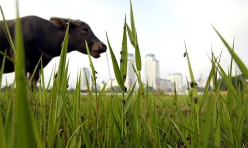 Bất động sản sau Tết: Bán rẻ cũng khó