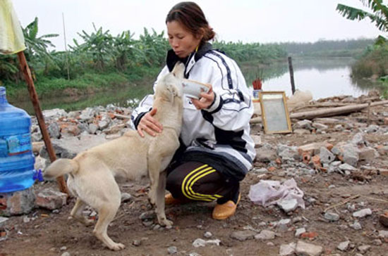 Việc chính quyền huyện Tiên Lãng (Hải Phòng) tổ chức cưỡng chế trái luật khu đầm thủy sản của gia đình ông Đoàn Văn Vươn ngày 5/1/2012 và những hệ lụy tiếp nối đã trở thành tâm điểm dư luận trong gần hai tháng qua. 