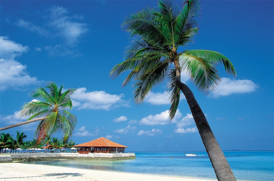 New York Times nhận định, Trung Quốc đã chứng tỏ sức mạnh kinh tế ở gần như mọi ngóc ngách trên thế giới, nhưng việc nước này đổ vốn mạnh vào một khu vực gần Mỹ như Caribbean là một vấn đề đáng lưu tâm.