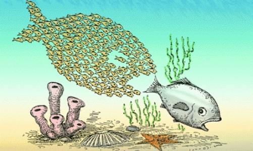 Những nguyên nhân khiến ngân hàng bị sáp nhập