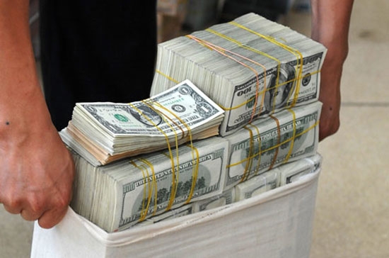 Với quy mô vốn tự có hiện nay, các ngân hàng có điều kiện để tích trữ lượng ngoại tệ lớn - Ảnh: VnExpress.