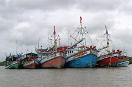 Một chủ tàu cá có thể xin cấp giấy phép cho nhiều tàu cá.