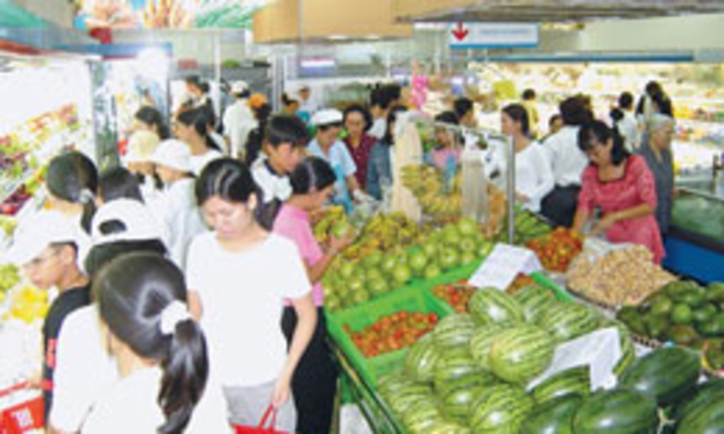 Năm 2010, lương tối thiểu tăng sẽ làm tăng sức mua của một bộ phận dân cư.
