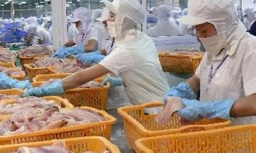 Xuất khẩu nông sản: Lượng tăng, giá giảm