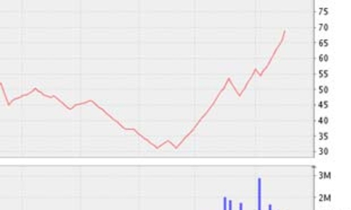HPG công bố lãi 986 tỷ đồng trong 7 tháng đầu năm