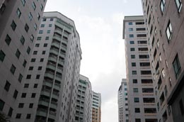Thị trường thiếu minh bạch là môi trường thuận lợi để một số người có thể “thổi” giá sản phẩm lên cao - Ảnh: Quang Liên.