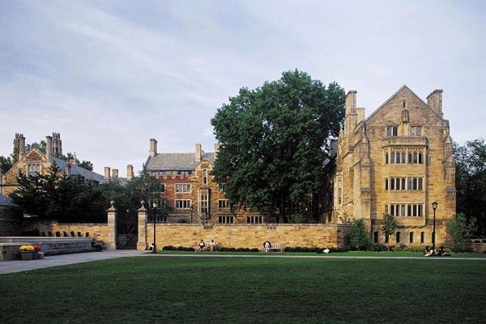 undefined - Ảnh 1.