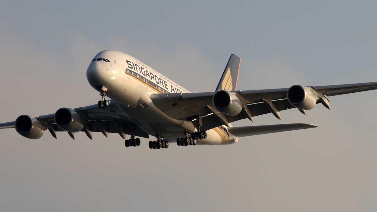 undefined - Ảnh 2.