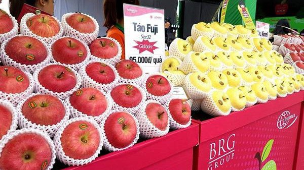 Tuy mới chỉ xuất hiện trên thị trường hơn 1 năm từ ngày 18/12/2016, táo tươi sạch từ vùng Aomori đã khẳng định được chất lượng đối với người tiêu dùng.