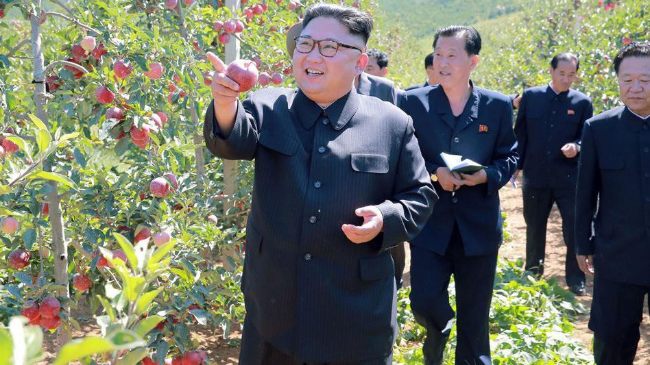 Nhà lãnh đạo Triều Tiên Kim Jong Un và các phụ tá trong một chuyến thăm nông trại - Ảnh: KCNA.