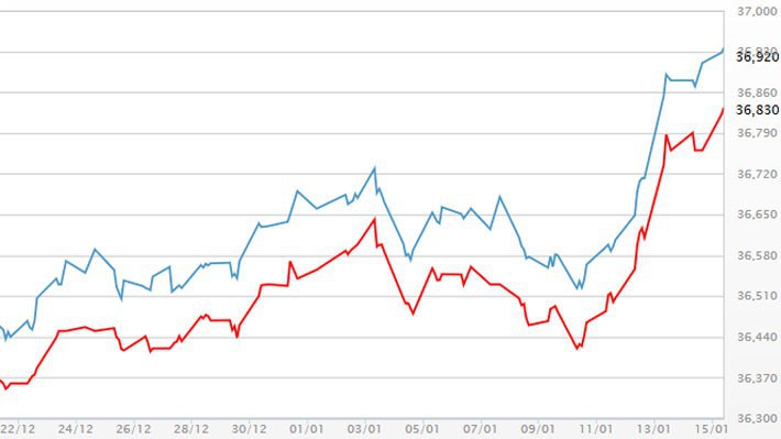 Diễn biến giá vàng SJC tại DOJI - Nguồn: DOJI.