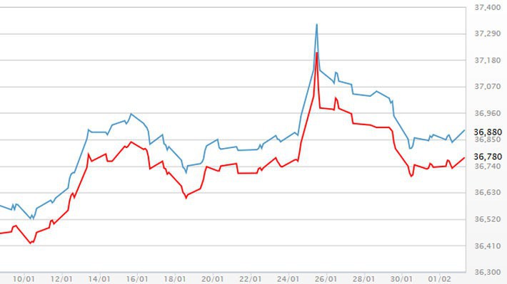 Diễn biến giá vàng SJC tại DOJI - Nguồn: DOJI.