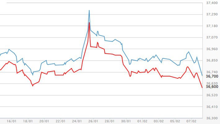Diễn biến giá vàng SJC tại DOJI - Nguồn: DOJI.