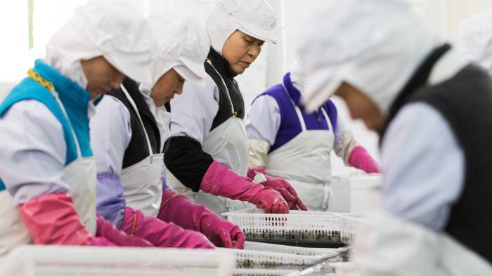 Do khó khăn kinh tế, nhiều người già ở Hàn Quốc phải làm việc tay chân để kiếm sống - Ảnh: Bloomberg/FT.