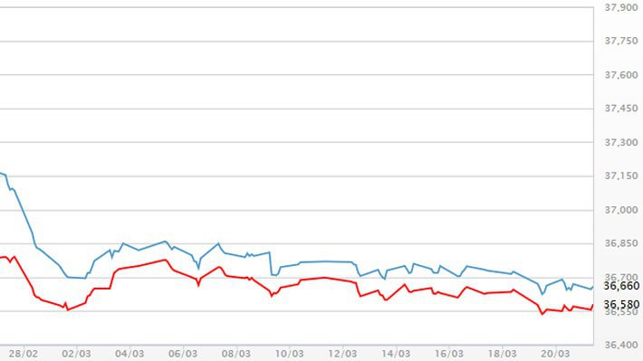 Diễn biến giá vàng SJC tại DOJI - Nguồn: DOJI.