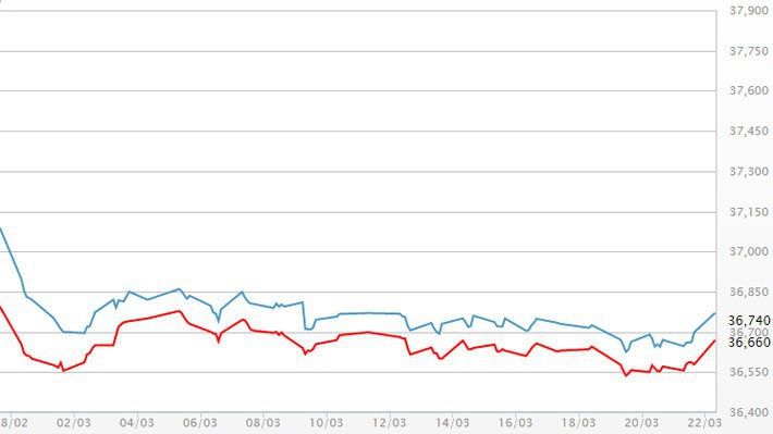 Diễn biến giá vàng SJC tại DOJI - Nguồn: DOJI.