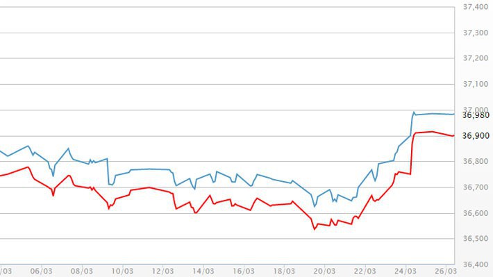 Diễn biến giá vàng SJC tại DOJI - Nguồn: DOJI.