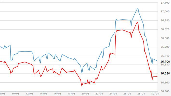 Diễn biến giá vàng SJC tại DOJI - Nguồn: DOJI.