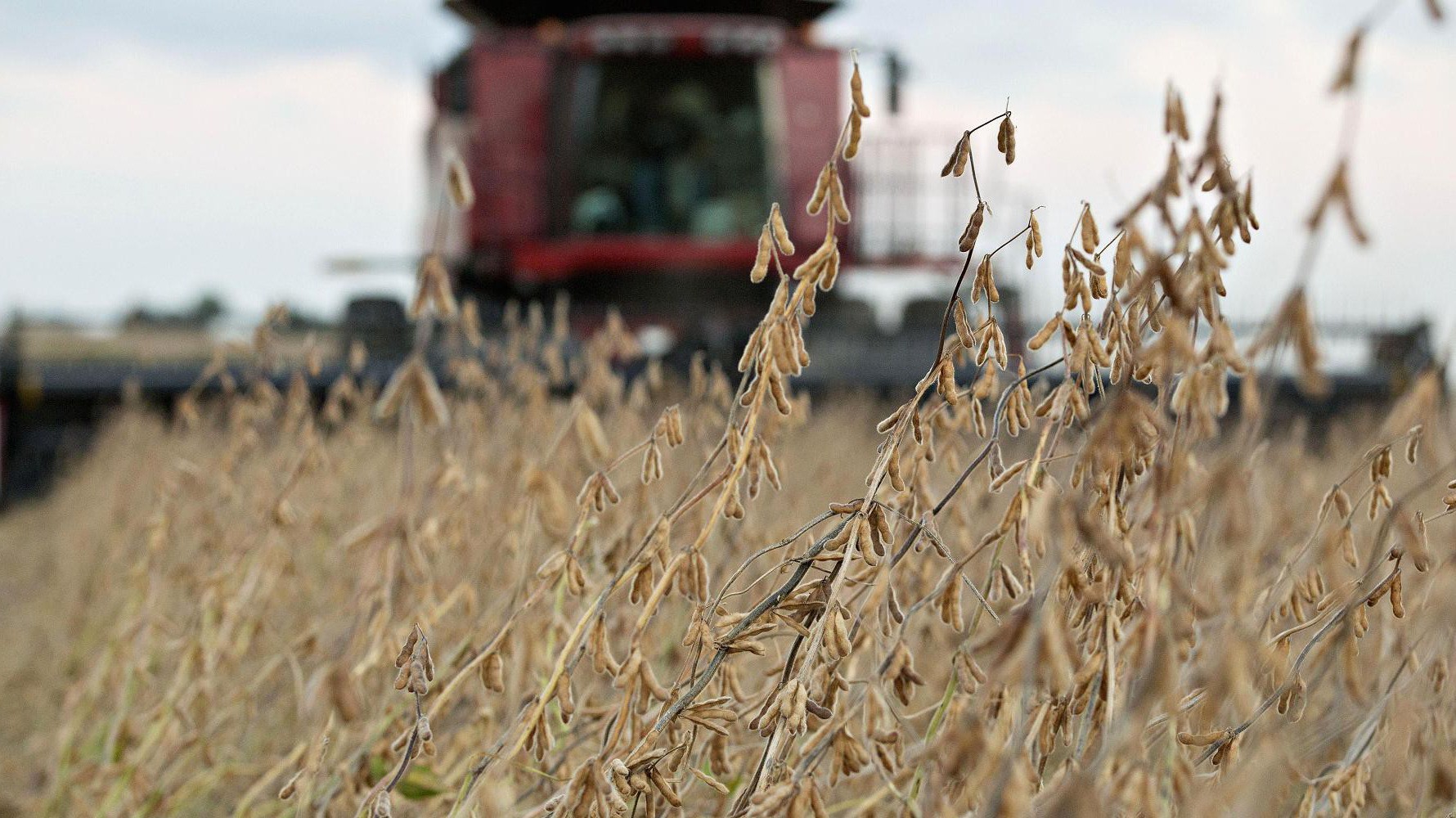 Trên một trang trại trồng đậu tương ở Mỹ - Ảnh: Bloomberg/Getty/CNBC.