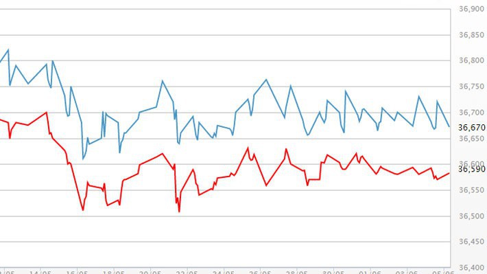 Diễn biến giá vàng SJC tại DOJI - Nguồn: DOJI.