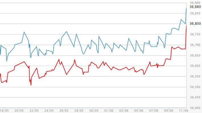 Diễn biến giá vàng SJC tại DOJI - Nguồn: DOJI.