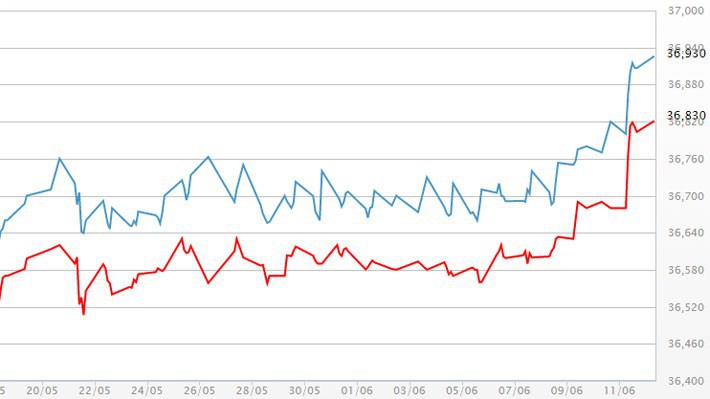 Diễn biến giá vàng SJC tại DOJI - Nguồn: DOJI.