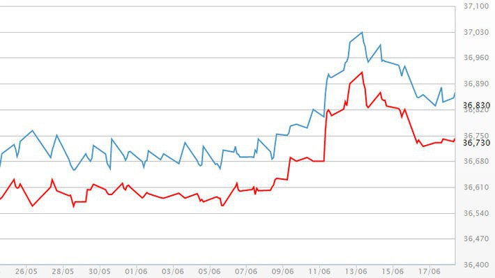 Diễn biến giá vàng SJC tại DOJI - Nguồn: DOJI.
