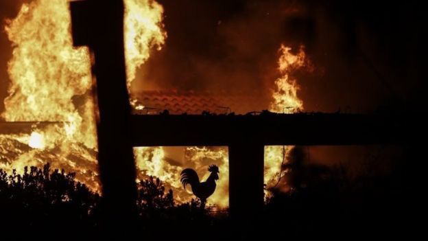 Ít nhất 20 người đã thiệt mạng vì trận cháy rừng đang xảy ra ở Hy Lạp - Ảnh: EPA/BBC.
